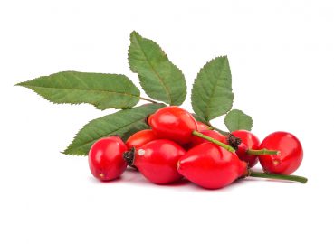 Rosa Canina Seed Oil (rosehip oil)
