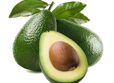 Avocado Oil
