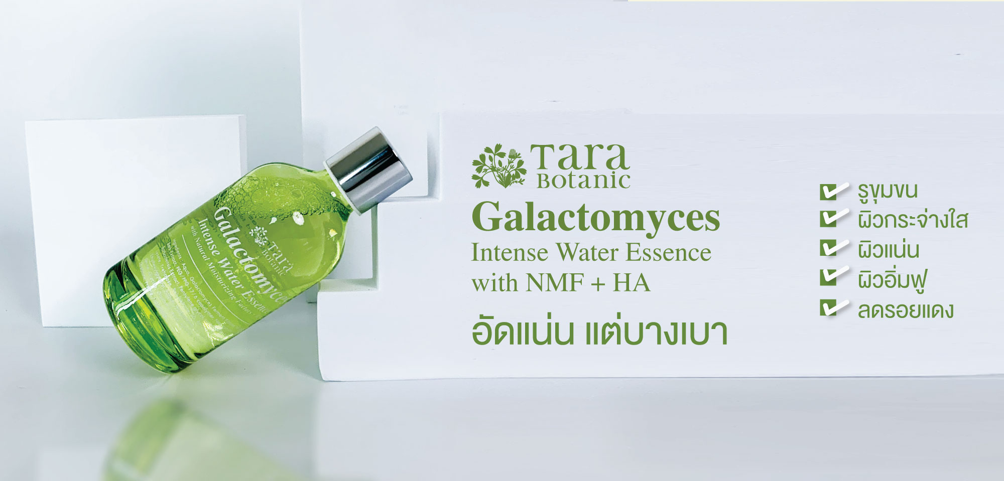 Tarabotanic Galactomyces